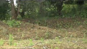 Rodríguez: todos conocían de la compra del terreno en Chilibre