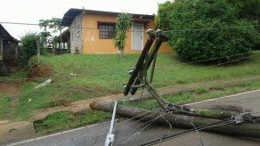 Camión derriba varios postes de tendido eléctrico en La Chorrera
