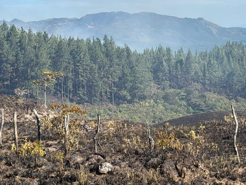 Incendio forestal en La Yeguada es contenido&nbsp;