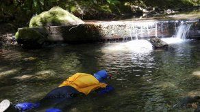 Estudio: Cultivos de marihuana secan arroyos