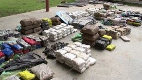 Decomisan más de 500 paquetes de droga entre arrozales en Chepo Decomisan más de 500 paquetes de droga entre arrozales en Chepo