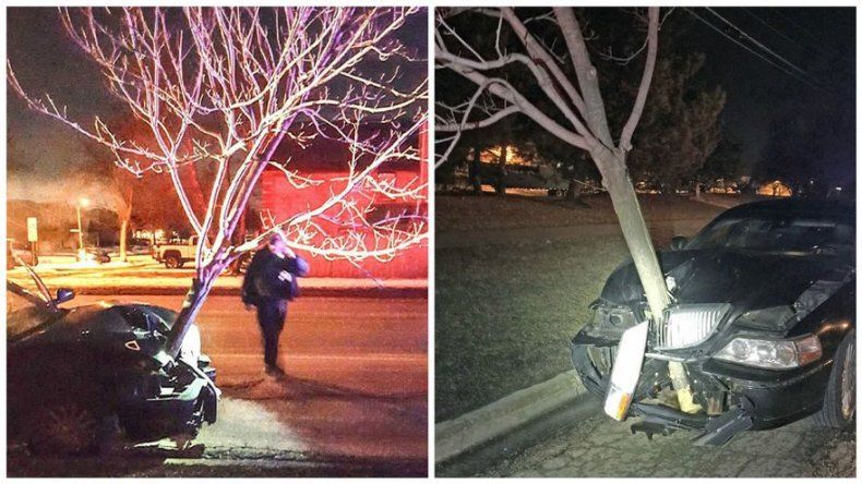 Conductor ebrio choca y sigue su marcha con árbol incrustado en el auto