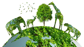 Día Internacional de la Diversidad Biológica