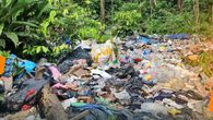Estados Unidos aportará $3 millones para limpiar la selva de Darién. Estados Unidos aportará $3 millones para limpiar la selva de Darién.