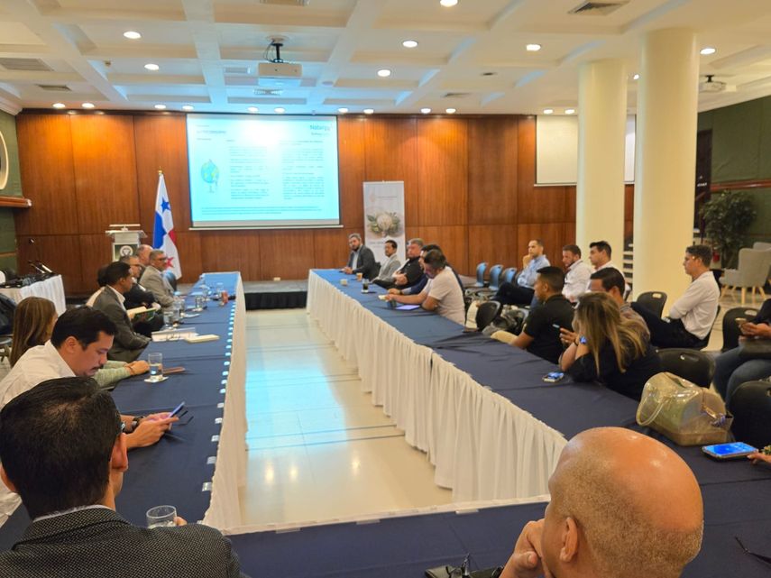 Naturgy Panamá y la Cámara Panameña de Energía Solar