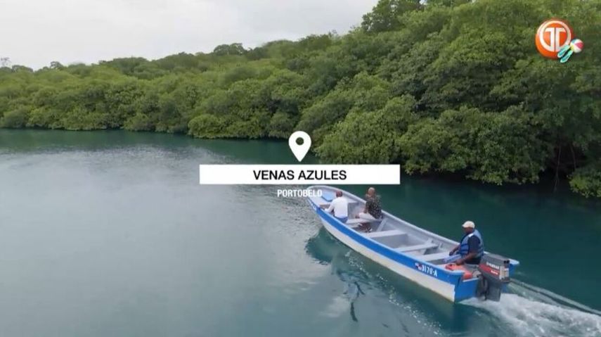 Panamá Quiero Verte | Descubre el paraíso de Venas Azules en Colón