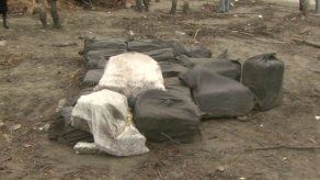 Decomisan 47 sacos de cocaína en Chepo