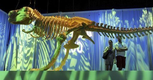 Réplicas de Van Gogh y dinosaurios en la mayor exposición de Lego
