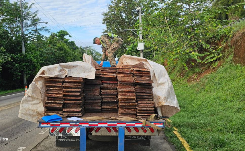 SENAFRONT y MiAmbiente decomisan tablas de madera.