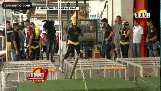 Calle 7 Panamá - Eliminación Femenina