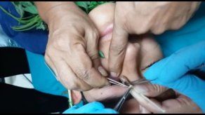 Con albahaca y una pinza