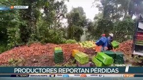 Cadena de producción será afectada por varios meses