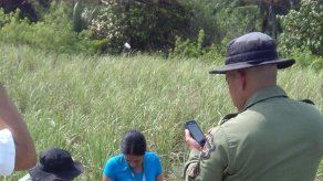 Decomisan huevos de tortugas y hasta collares hechos de caparazón