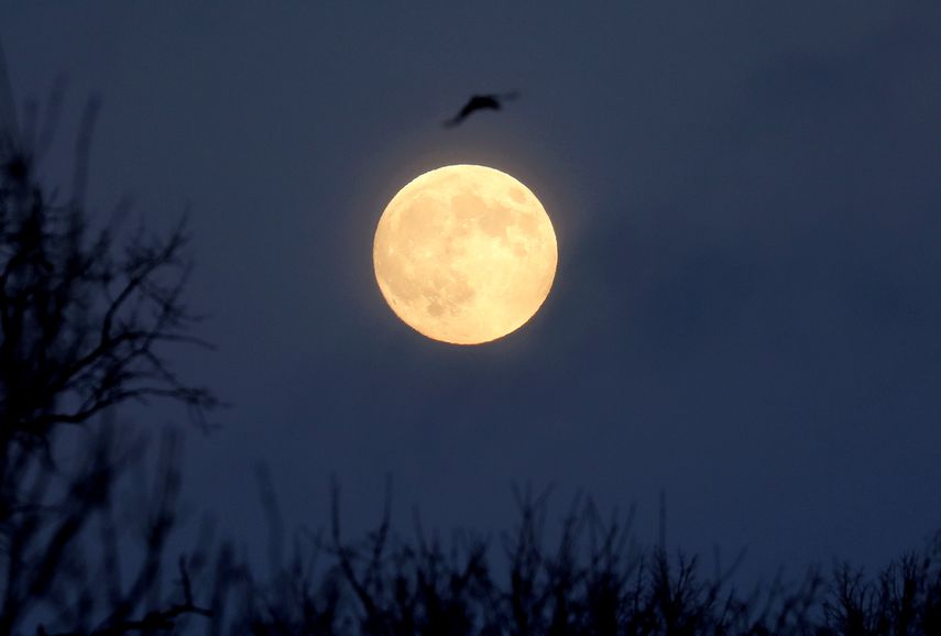 Luna llena del Ciervo 2025
