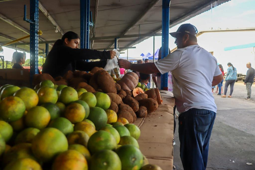 Persona comprando verduras en las Agrotiendas del IMA Persona comprando verduras en las Agrotiendas del IMA