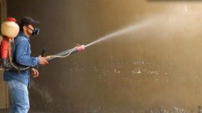 OMS no recomienda medidas específicas para evitar contagio con virus zika