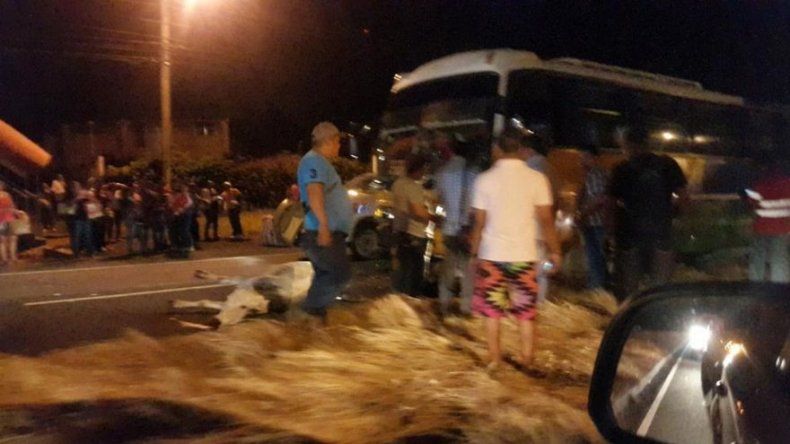 Vacas en soltura fueron atropelladas por bus de pasajeros en Chame