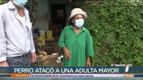 Juez de Paz de David investiga caso de ataque de un perro a una mujer