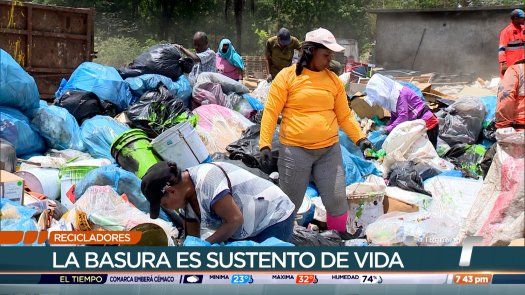 Recicladores, sustento de vida