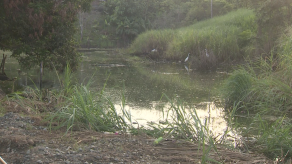 Residentes de Nuevo Progreso alarmados por contaminación de laguna