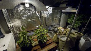 La DEA de EEUU mantiene prohibición a marihuana con fines medicinales