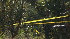 Tras meses de búsqueda