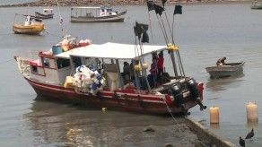 Venta de pescado ha disminuido en aproximadamente 40%
