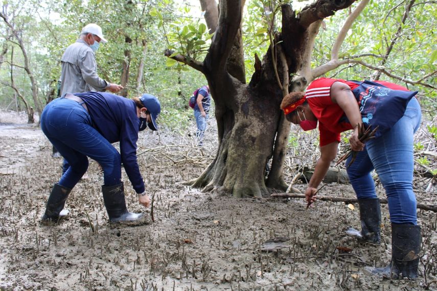 Carbono negativo significa que una actividad