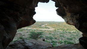 El 10% de áreas silvestres del planeta desaparecieron en dos décadas: estudio