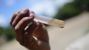 Suben a tres los muertos por dengue hemorrágico en Honduras