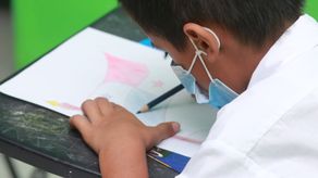 Las escuelas&nbsp; particulares dan como mínimo 7 horas de clases, y dan clases más días; las oficiales máximo 5 horas y menos días. No hay un espacio para la recuperación y optimización educativa, añadió Cañizales.