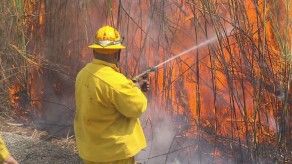 TR Verde: Bomberos especialistas en incendios de masa vegetal