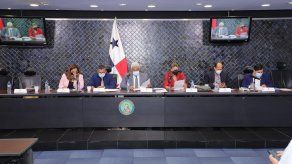 La Comisión de Gobierno de la Asamblea Nacional realizará las consultas sobre la eliminación de la pena accesoria.