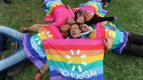 Organización gay invitada a reunión con papa Francisco