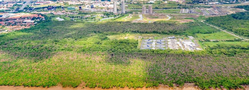 Vista aérea del manglar de Juan Díaz.