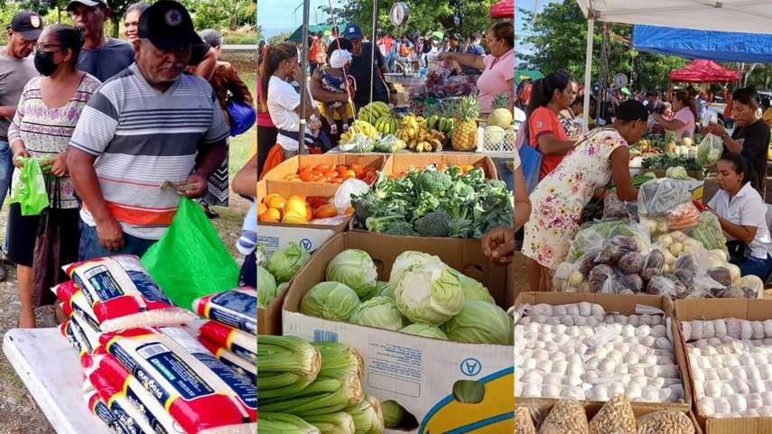 Agroferias en Panamá.