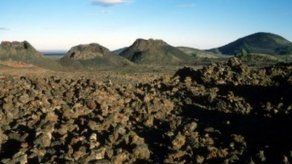 Determinan que microbios son esenciales en liberación de carbono en rocas