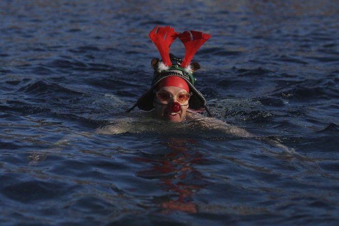 Carrera anual December Dip