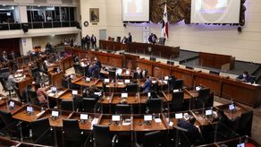 El Pleno Legislativo aprobó en segundo debate el proyecto de ley que modifica la Ley 70 de 12 de octubre de 2012, de protección a los animales domésticos, el Código Penal y dicta otras disposiciones.