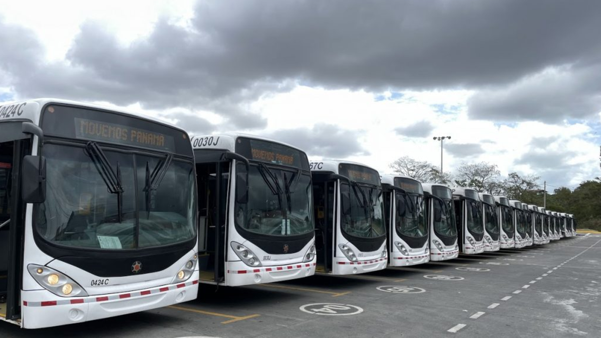 Gobierno lanza licitación internacional para adquirir buses eléctricos.