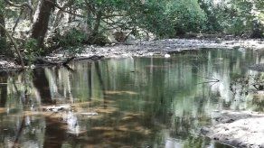 Niñas de 4 y 6 años se ahogaron en el  río El Cuay mientras su madre lavaba