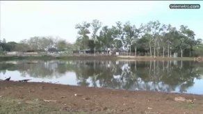 Sequía arrasa con la fauna de un lago en la provincia de Herrera