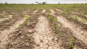 Fenómeno de El Niño