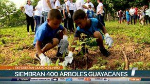 TRVerde: Siembran 400 árboles guayacanes en jornada de reforestación