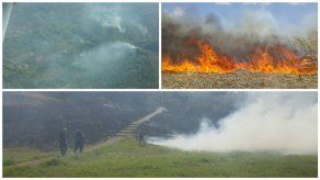 Bomberos y MiAmbiente combaten incendios en distintos puntos del país