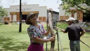 Conociendo la oferta turística de Pesé