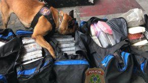 Decomisan en puerto de Río 280 kilos de cocaína que serían enviados a España