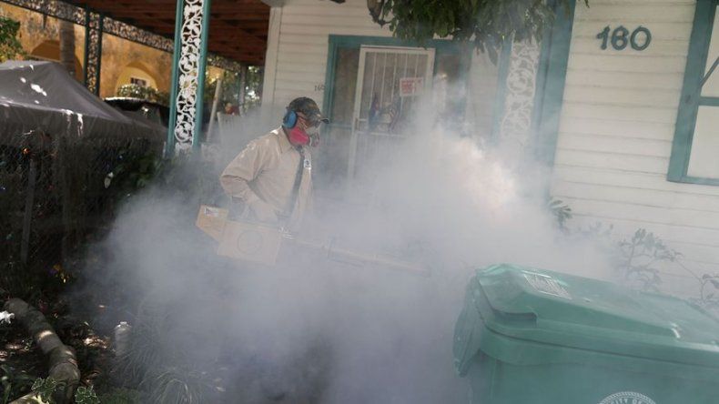 Florida contrata compañías de control de plagas contra zika