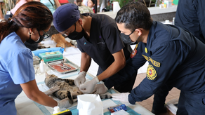 Buque hospital realiza atención veterinaria gratuita