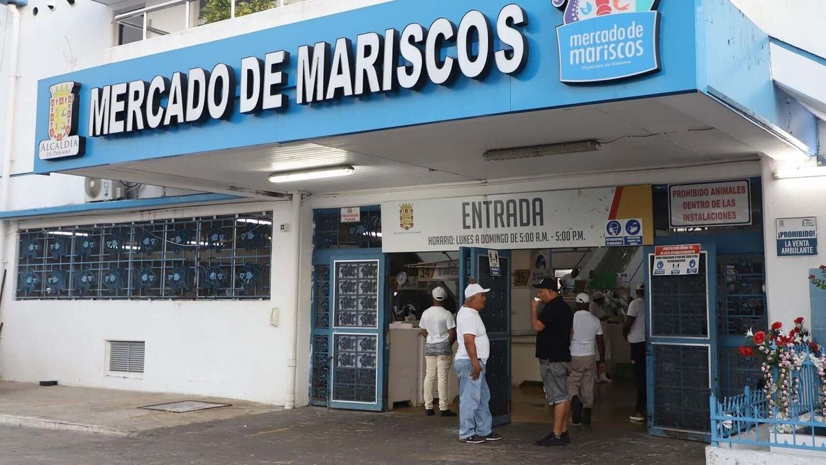 Pedregal tendrá un Mercado de Marisco Pedregal tendrá un Mercado de Marisco